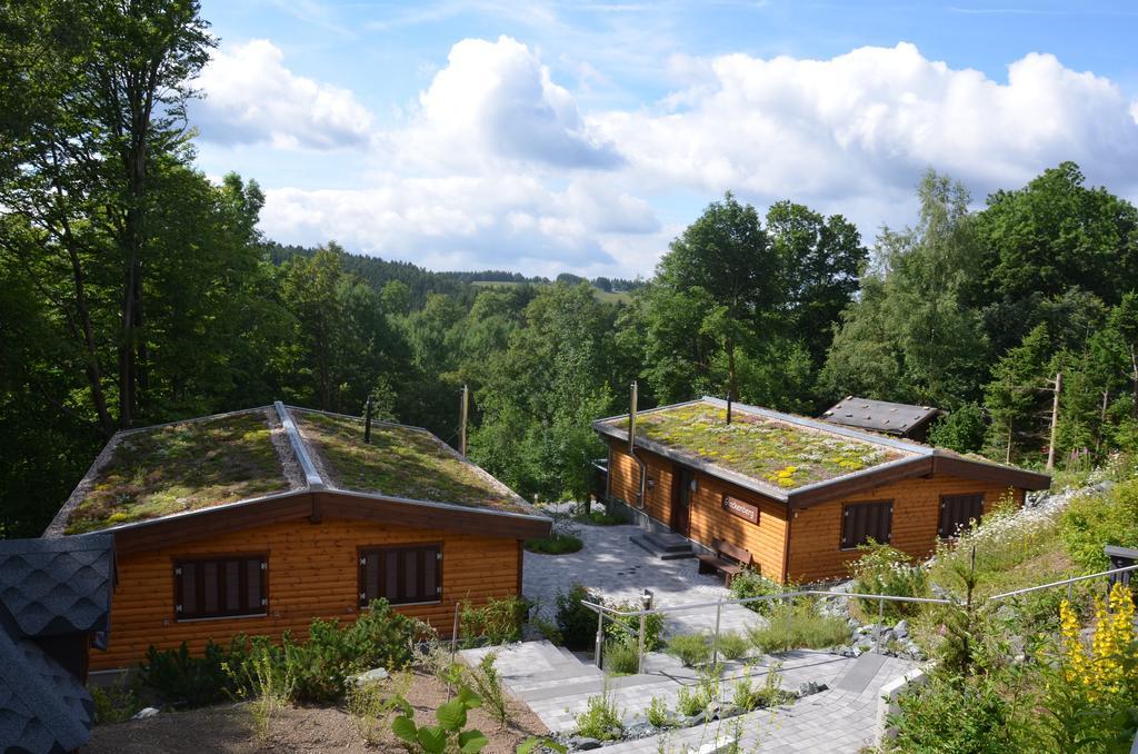 Landhaeuser Bergwiese Sankt-Andreasberg Extérieur photo